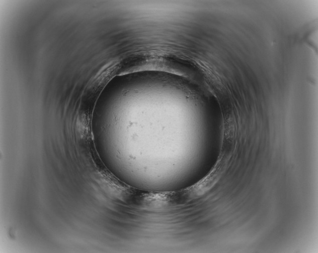 X0000096950140200802081238