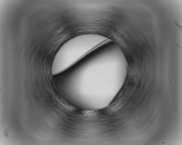 X0000096950141200802081238