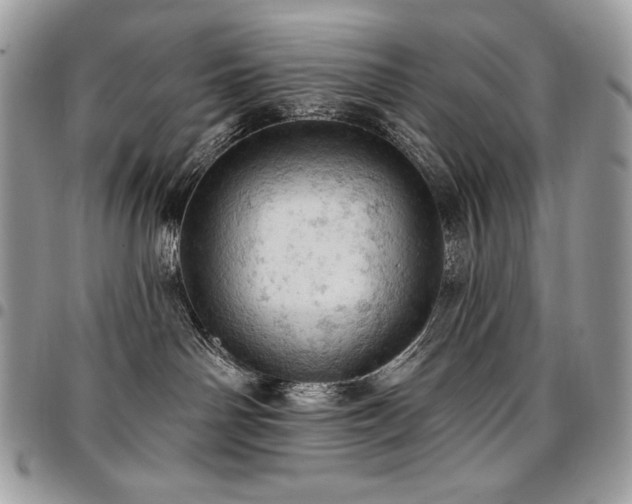 X0000096950142200802081238