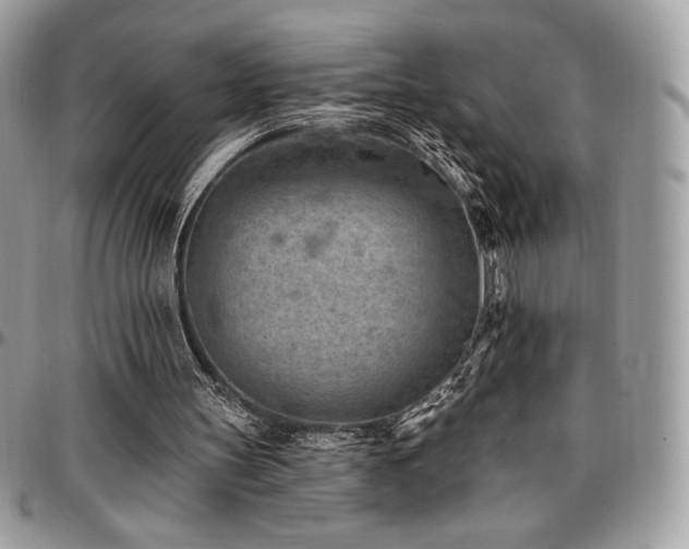 X0000096950147200802081237