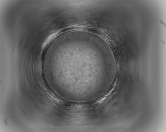 X0000096950149200802081237