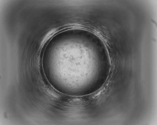 X0000096950151200802081237