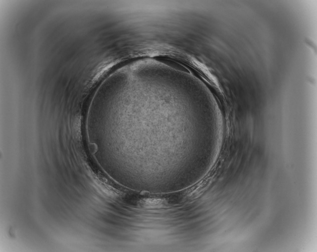 X0000096950154200802081237
