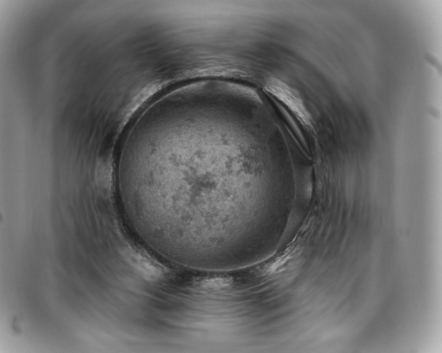 X0000096950156200802081237