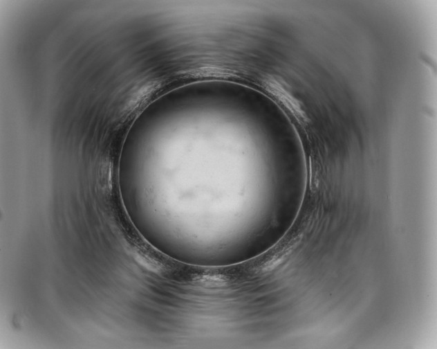 X0000096950157200802081237