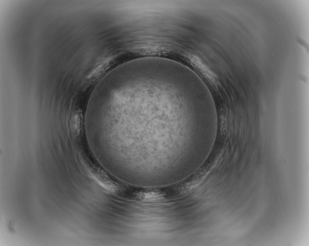 X0000096950165200802081237