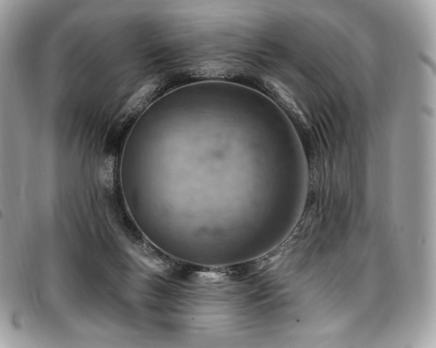X0000096950167200802081238
