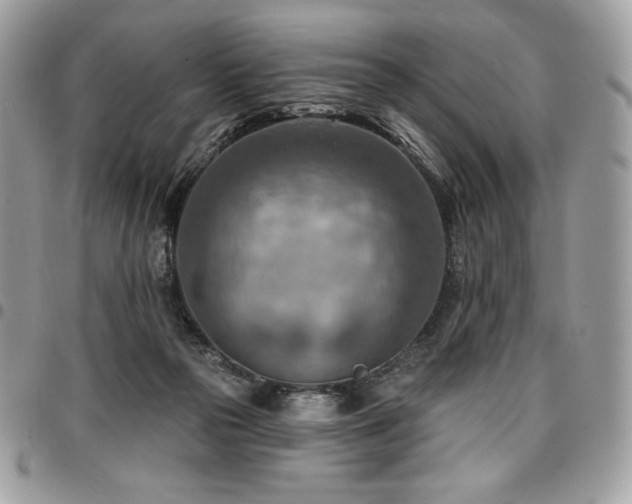 X0000096950169200802081238