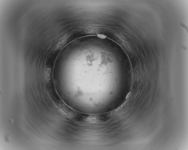 X0000096950171200802081238