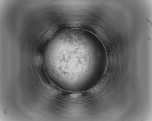 X0000096950172200802081238