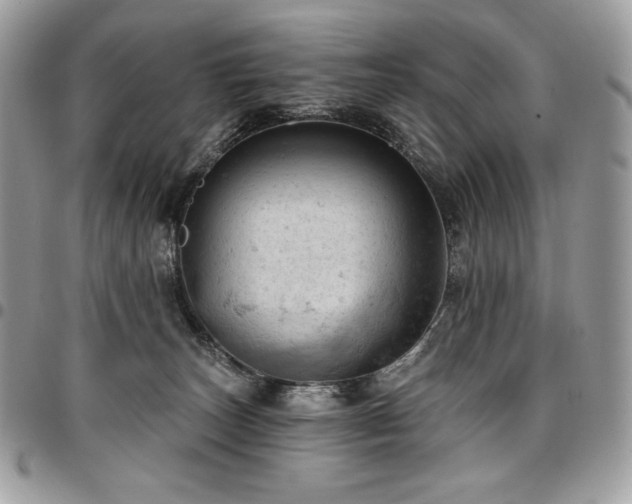 X0000096950179200802081238