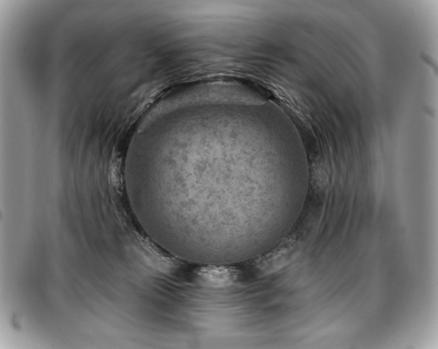 X0000096950181200802081238