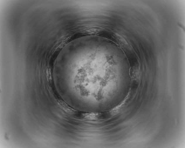 X0000096950182200802081238
