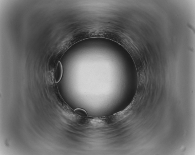 X0000096950183200802081238