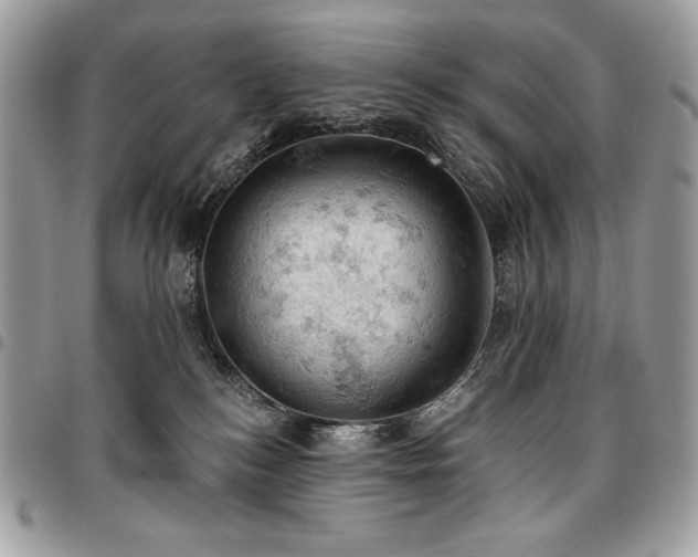 X0000096950184200802081238