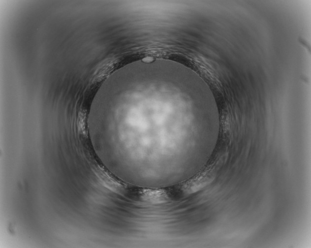 X0000096950185200802081238