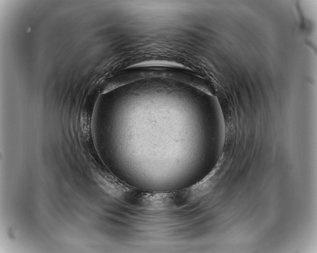 X0000096950186200802081238