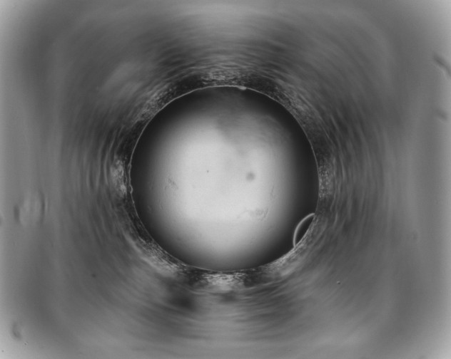 X0000096950187200802081238