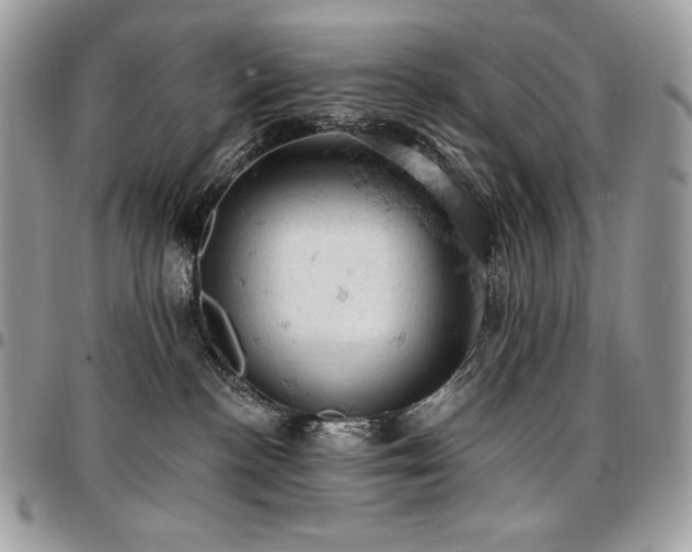 X0000096950188200802081238