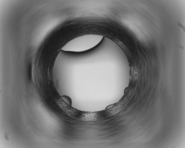 X0000096950189200802081238