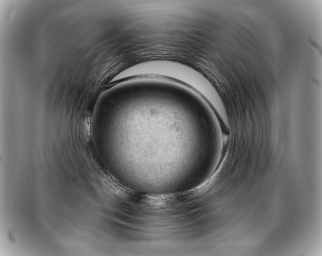 X0000096950190200802081238