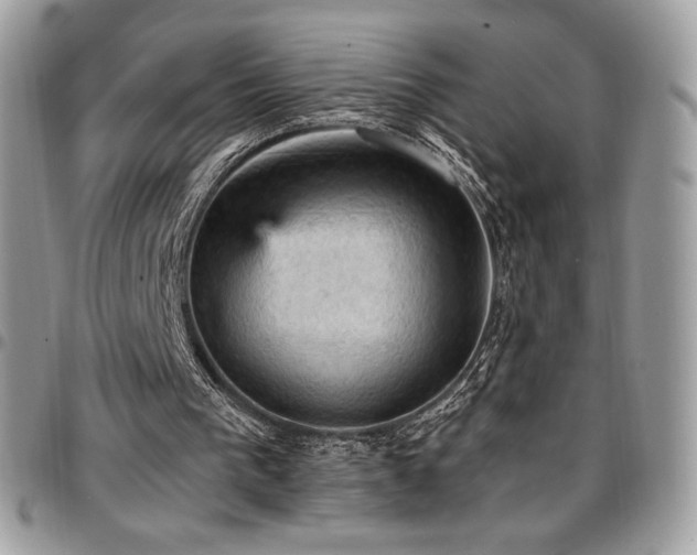 X0000096950193200802081237