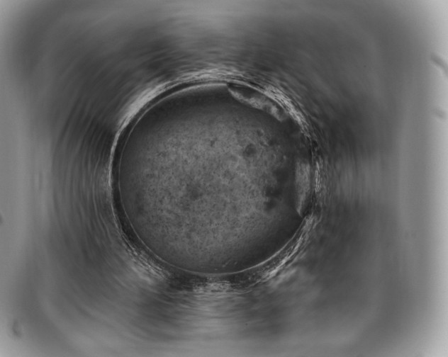 X0000096950196200802081237