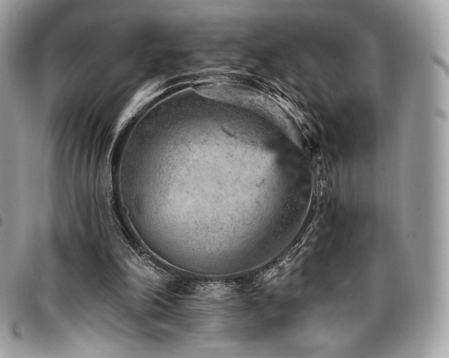 X0000096950198200802081237