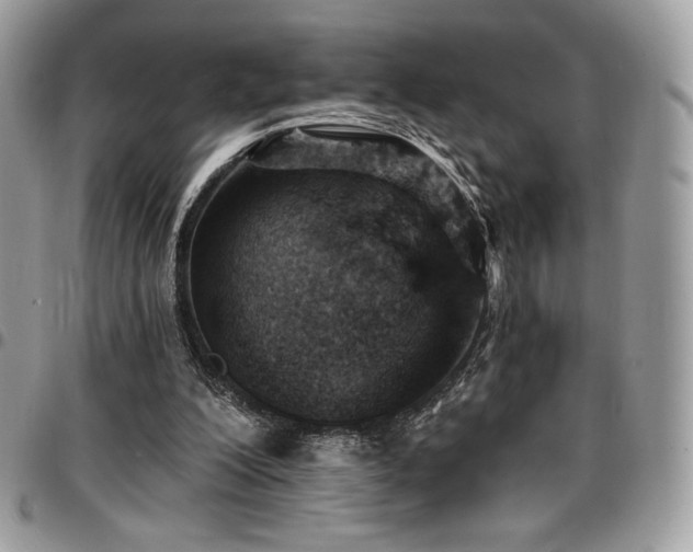 X0000096950200200802081237