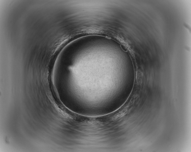X0000096950201200802081237
