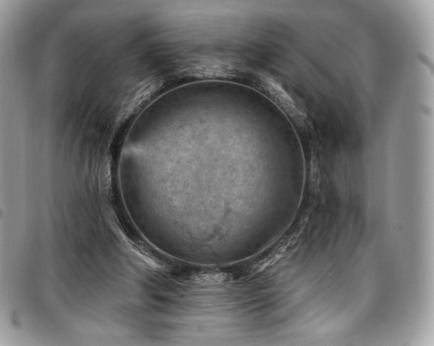 X0000096950202200802081237