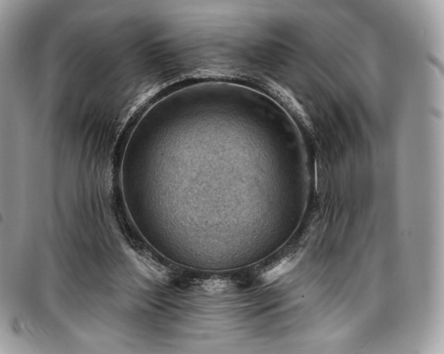 X0000096950204200802081237