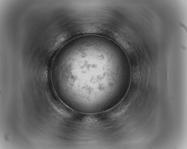 X0000096950207200802081237