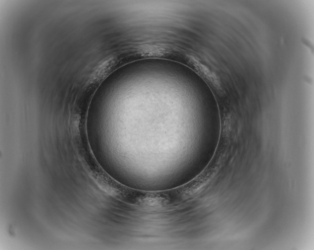 X0000096950209200802081237