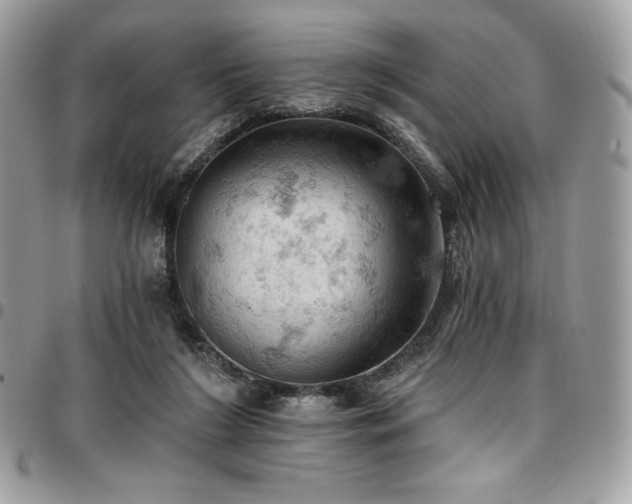 X0000096950212200802081237