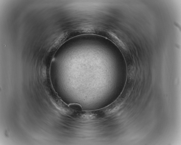 X0000096950213200802081237