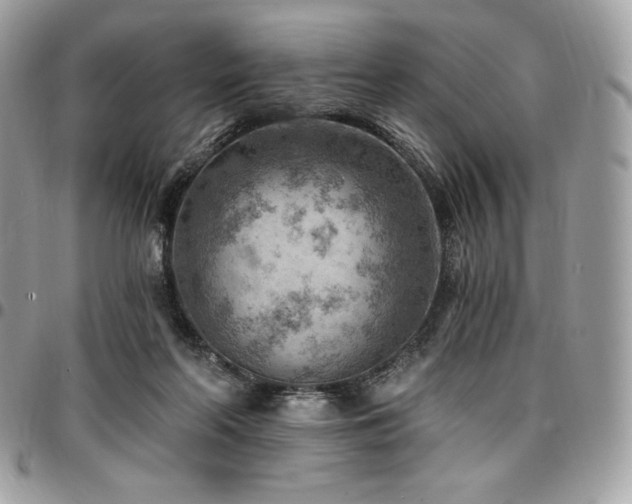 X0000096950214200802081237