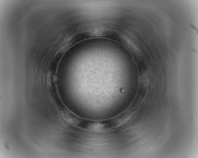 X0000096950217200802081237