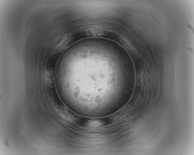 X0000096950218200802081237