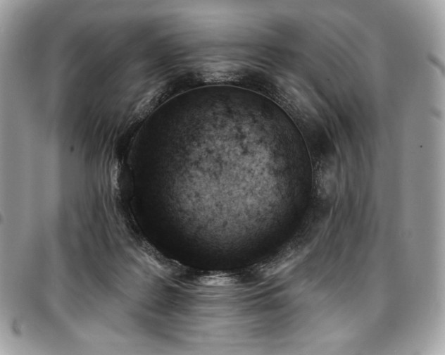 X0000096950219200802081237
