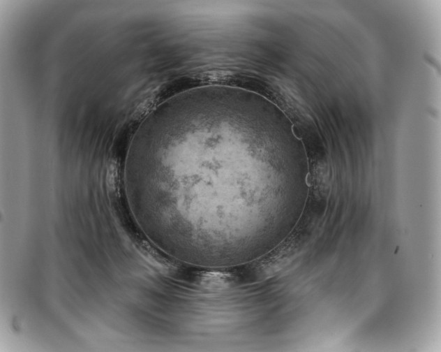 X0000096950222200802081237