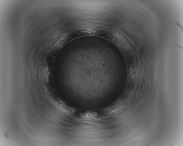 X0000096950223200802081237