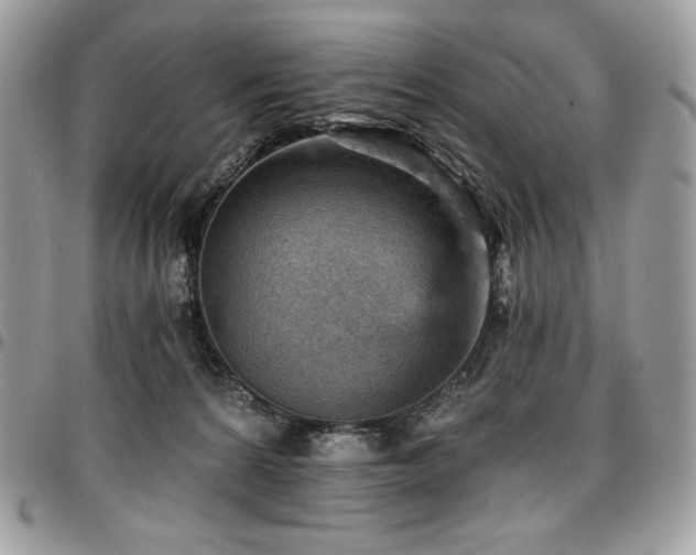 X0000096950224200802081237