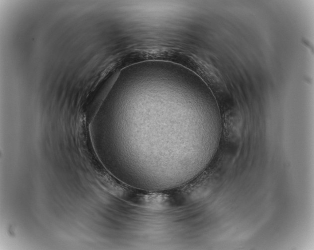 X0000096950225200802081237