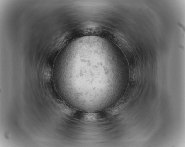 X0000096950226200802081237