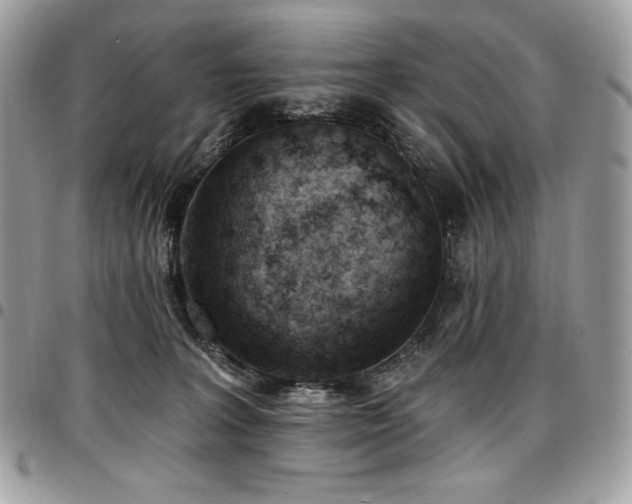 X0000096950227200802081237