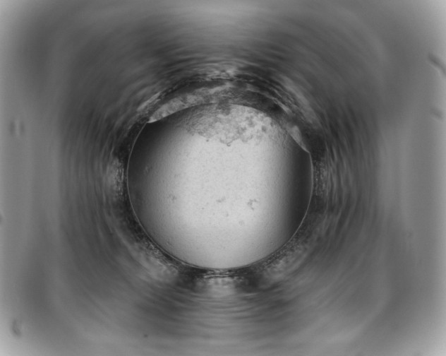 X0000096950228200802081237