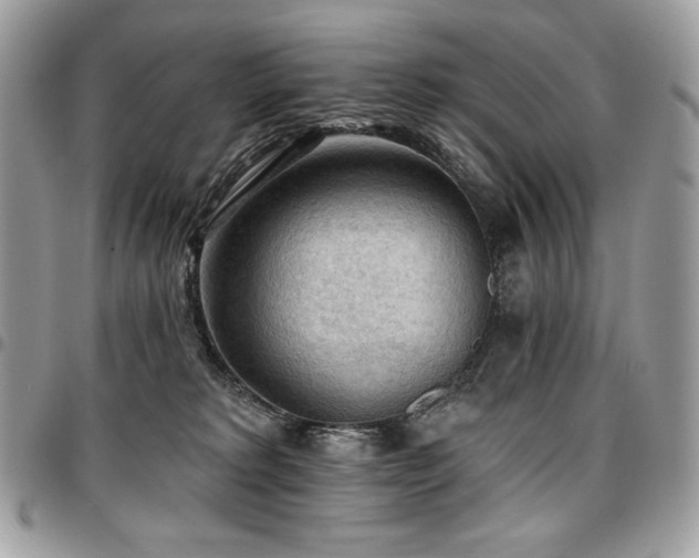 X0000096950229200802081237