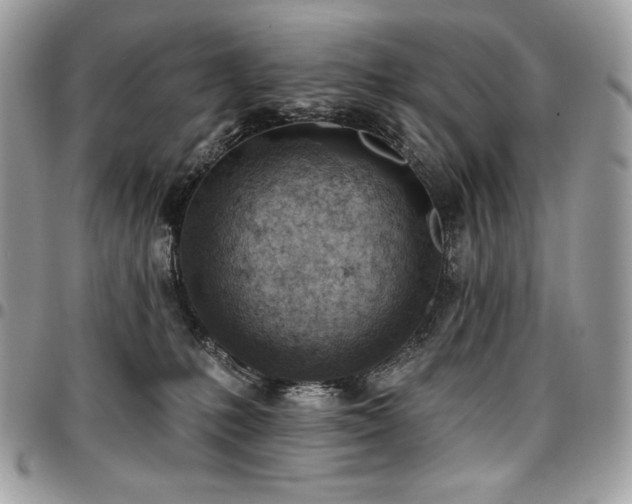 X0000096950231200802081237