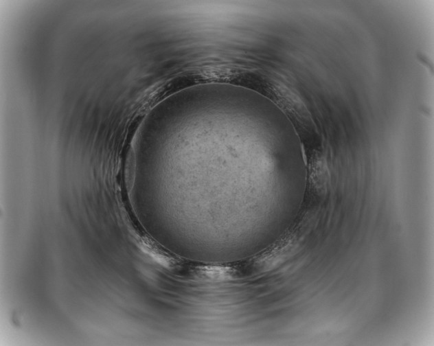 X0000096950233200802081237